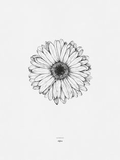 a black and white drawing of a flower