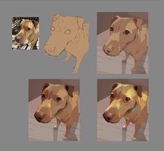 four different images of a dog's head and neck in various stages of development