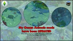 an advertisement for the ocean animals models have been updated