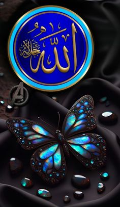 a butterfly with arabic writing on it sitting in front of a blue and black background