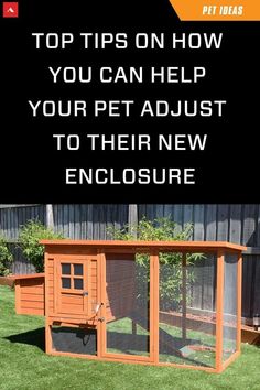 an outdoor chicken coop with the words top tips on how you can help your pet adjust to their new enclosure