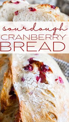 cranberry bread with powdered sugar on top and the words sourdough cranberry bread above it