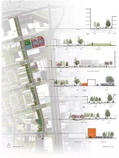 an architectural drawing shows the various areas in which trees are planted