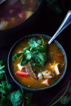 two bowls filled with soup and garnished with cilantro