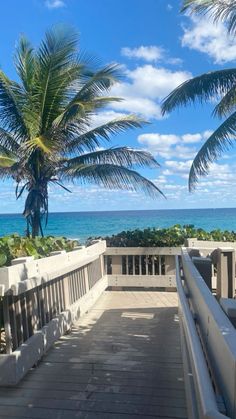 a walkway leading to the beach with palm trees