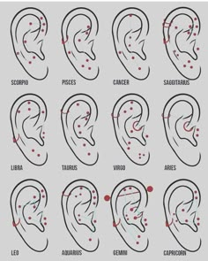 the different types of ear shapes and how to use them for each type of piercing