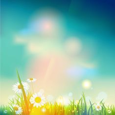 the sun shines brightly over grass and daisies