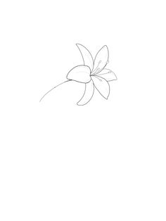 Women Inked Goddess Lilly Tattoo Small Simple, Simple Lilly Tattoo Design, Minimalistic Lily Tattoo, Lily Flower Simple Drawing, Small Lily Flower Tattoo Simple, Flower Without Stem Tattoo, Lily Flower Tattoos Minimalist, Minimal Lily Flower Tattoo, Mini Lily Tattoo