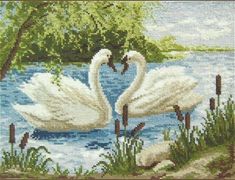 two swans in the water making a heart shape with their necks cross stitched together