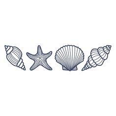 three seashells and one starfish on a white background