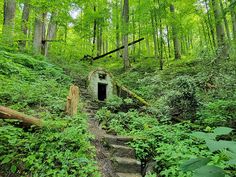 an abandoned tunnel in the woods with stairs leading up to it and lots of greenery