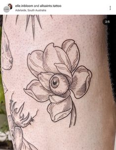 engraving style tattoo of a magnolia flower with an eye in the centre, on the front of the shin Shading Tattoo, Engraving Tattoo, Patchwork Tattoo, Patch Work, Tattoo Placement, Outsider Art, Inspirational Tattoos, Etching, Magnolia