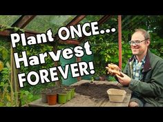 a man sitting in front of a potted plant and holding a piece of bread