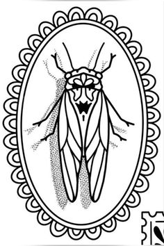 a black and white drawing of a bug in a frame with the word's name below it