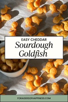 easy cheddar sourdough goldfish recipe with text overlay that reads easy cheddar sourdough goldfish