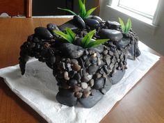 there is a small rock garden on the table