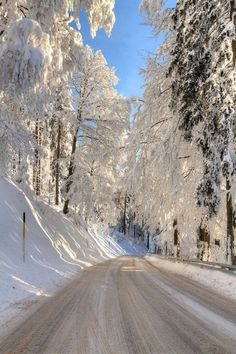 the road is covered in snow and trees