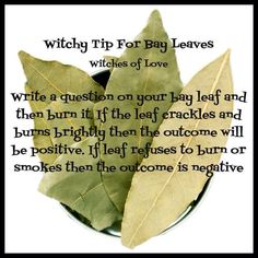 Pagan Practices, Witch's House, Witch Crafts, Witches Broom, Broom Closet