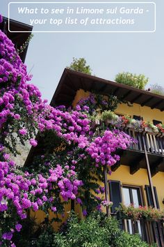 purple flowers growing on the side of a yellow building with text overlay that reads what to see in limoo sul garda your top list of attractions