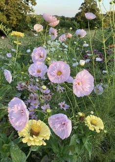 pink and yellow flowers are in the grass