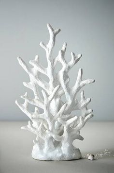 a white coral sculpture sitting on top of a table