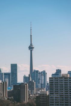 the city skyline is shown with tall buildings