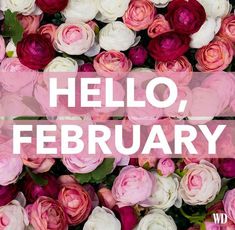 pink and white flowers with the words hello, february