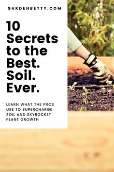 a person is digging in the dirt with their gardening tools and text that reads, 10 secrets to the best soil ever learn what the pros use