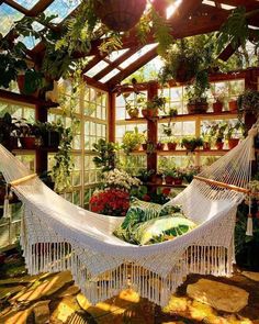 a white hammock in a greenhouse with potted plants