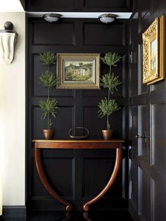 two potted plants sit on top of a wooden table in front of a black wall