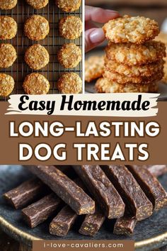 homemade dog treats with text overlay that says easy homemade long - tasting dog treats