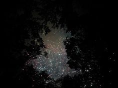 fireworks are lit up in the dark sky above some trees and grass at night time