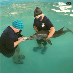 two people in the water with a dolphin and a person wearing a blue hat looking at it