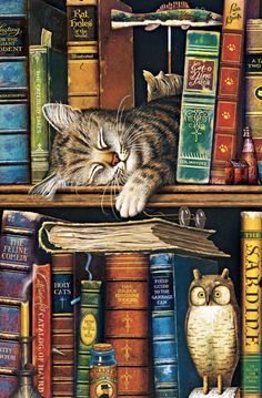 a painting of a cat sleeping on top of a book shelf next to many books