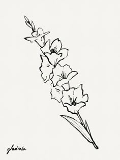 a black and white drawing of some flowers