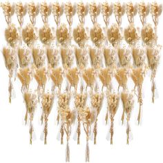 a bunch of dried flowers are arranged in rows on a white background with long stems sticking out of them