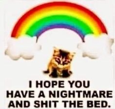 Cat Rainbow, Discord Chat, Silly Cats Pictures, Memes Br, A Nightmare