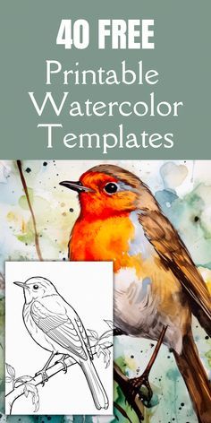 the book cover for 40 free printable watercolor templates, featuring a bird on a branch