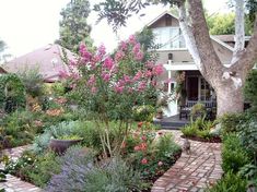 the garden is full of colorful flowers and greenery, including pink azaleas