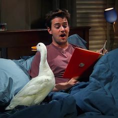 a man sitting in bed with a white goose next to him and reading a book