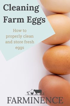 three eggs stacked on top of each other with the words, how to clean and store fresh