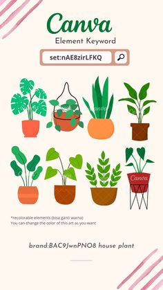 Various house plant in pot Canva Stickers, Keyword Search, Bujo Stickers, Keyword Elements Canva, Elements Canva, Plant Vector, Book Labels