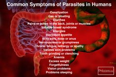 Humans can play host to more than a hundred different types of parasites. Follow these strategies to protect your body from parasites. Itchy Ears, Increase Appetite, Vision Problems, Grinding Teeth, Sleep Problems, At Home Exercises, Chronic Fatigue, What Type, Skin Problems