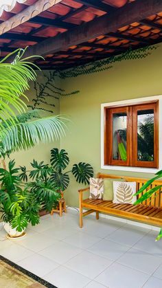 a wooden bench sitting in front of a window next to a potted palm tree