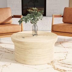 a living room with two chairs, a table and a plant in a vase on the coffee table