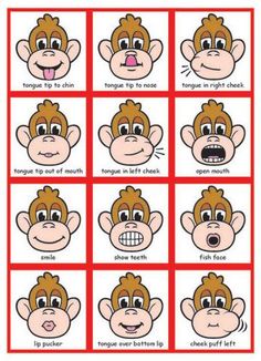 an image of monkey face expressions in different ways to learn how to make them look like they