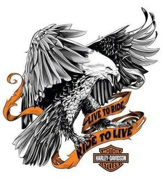 an eagle with the words live to ride, ride to live and harley davidson style