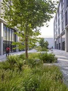 a man walking down a sidewalk next to tall grass and trees in front of buildings