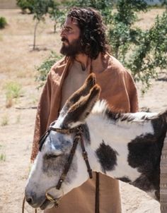 a man standing next to a brown and white donkey