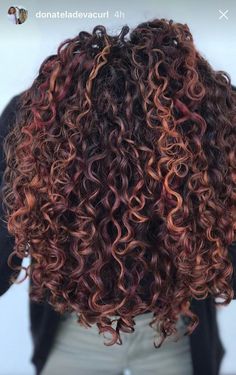 Balayage Auburn, Red Highlights In Brown Hair, Blonde Highlights Curly Hair, Dark Curly Hair, Brown Curly Hair, Red Curly Hair, Curly Hair Photos